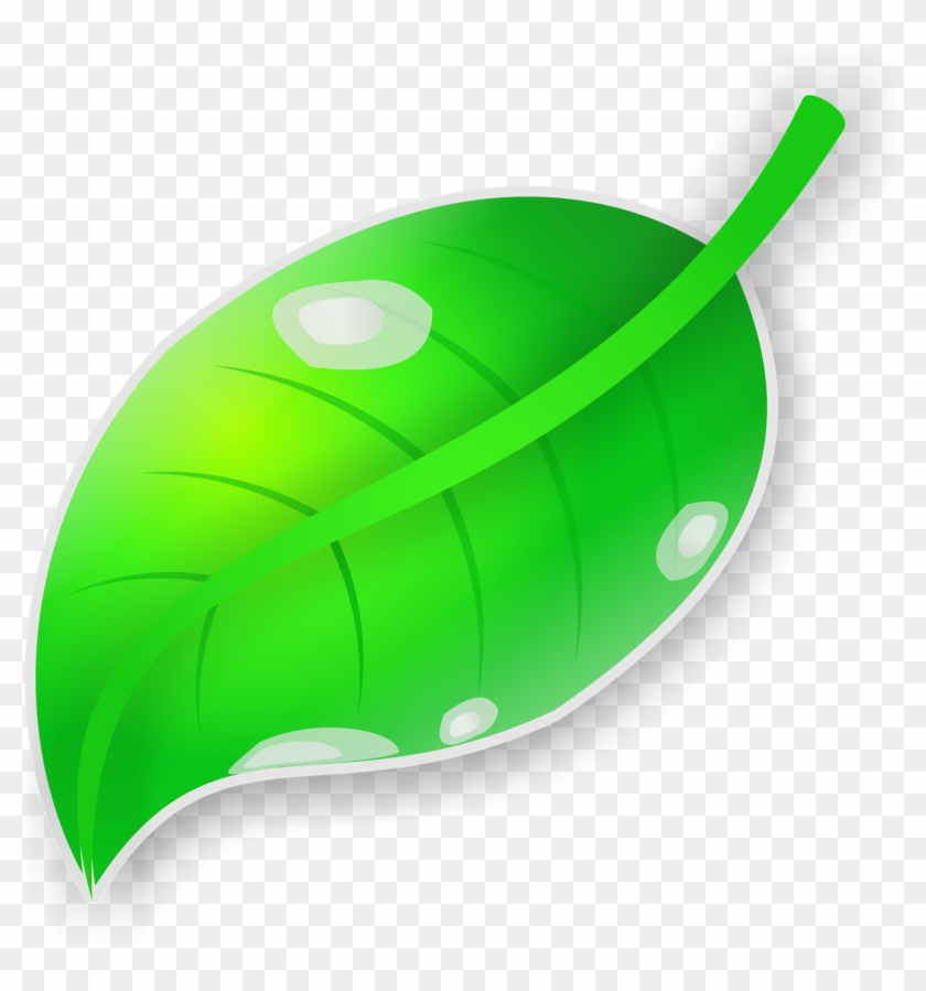 Vektor Daun Dengan Coreldraw X7 - Daun Png Clipart