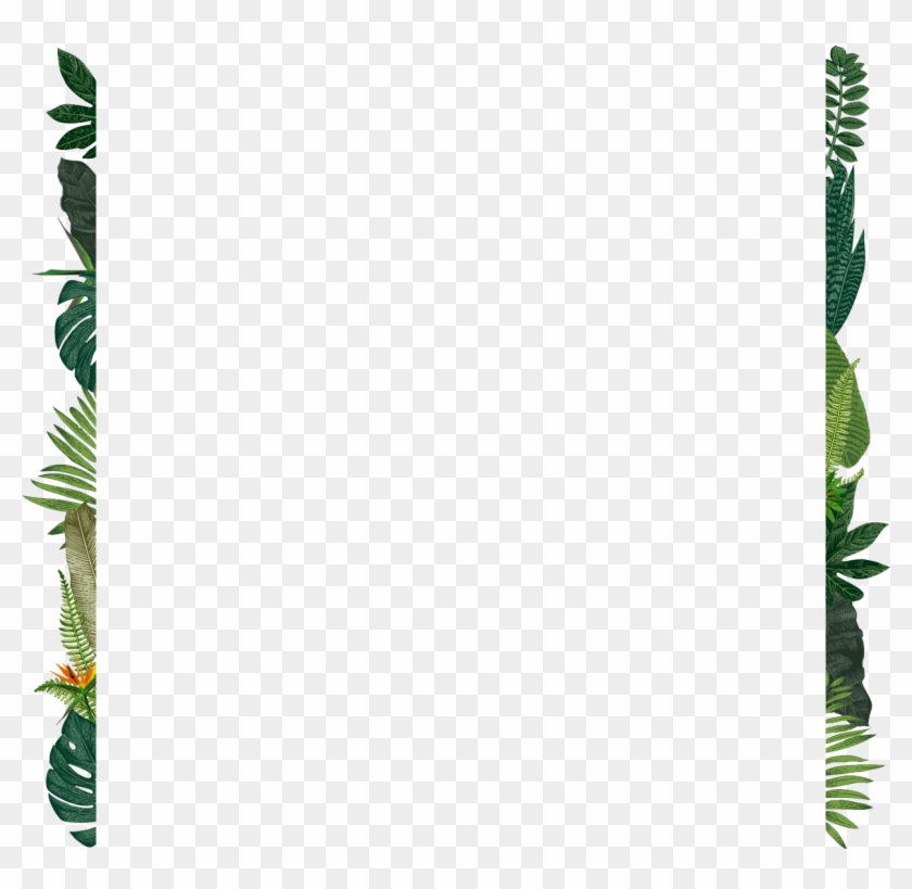 Bg7 - Fern Clipart #4207366