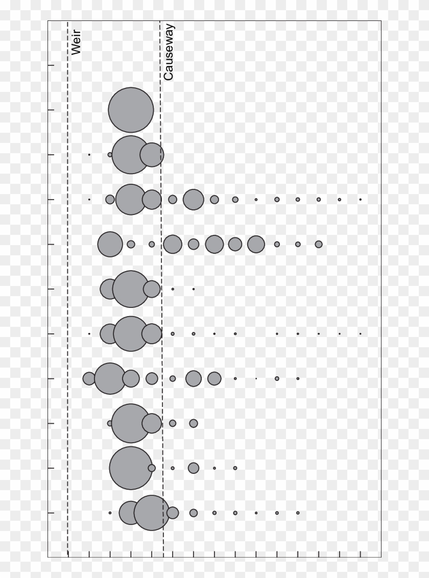 Bubble-plot Representation Of The Proportion Of Time - Circle Clipart