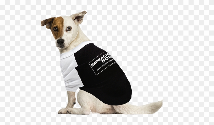 Maddogpac - Dog Sitting Looking Back Clipart #4209628