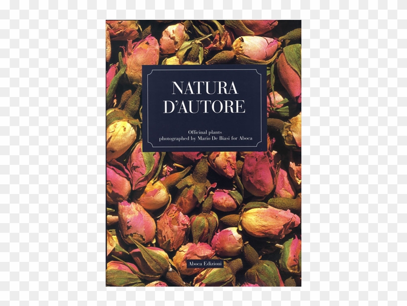 Picture Of Natura D'autore - Natural Foods Clipart #4209843