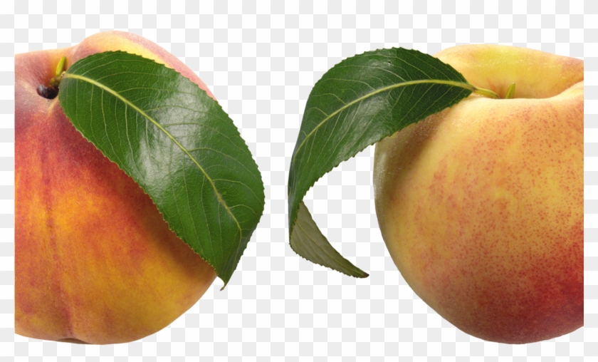 Peaches Png Clipart Picture Gallery Yopriceville High - Apricot Transparent Png