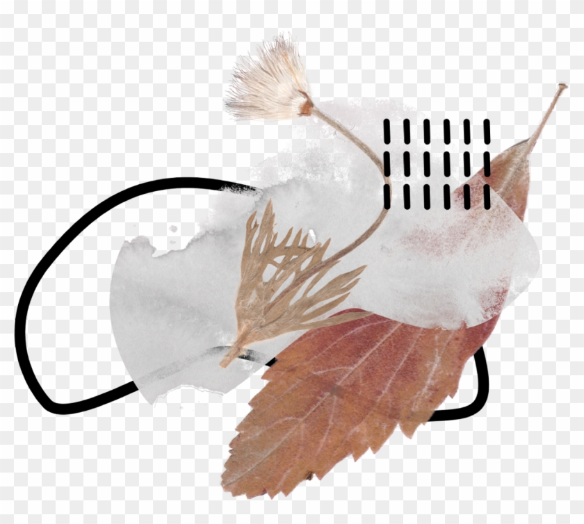 Watercolor Watercolors Flowers Flower Floral Paint - Illustration Clipart #4210300