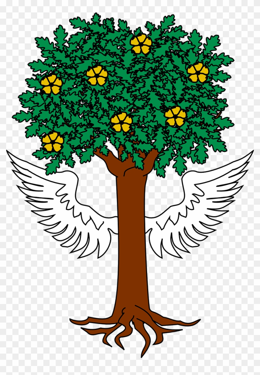 Tree,wings,roots,free Vector Graphics,free Pictures, - Biscay Coat Of Arms Clipart #4212161