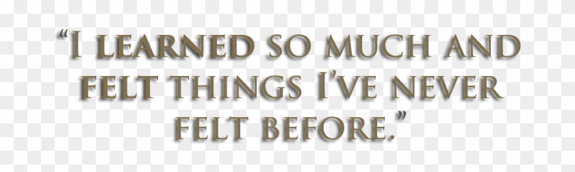 Previouspausenext - Calligraphy Clipart