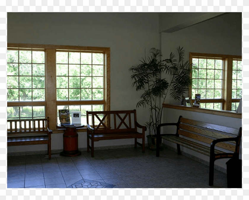 Danvers Animal Hospital Waiting Room - Daylighting Clipart