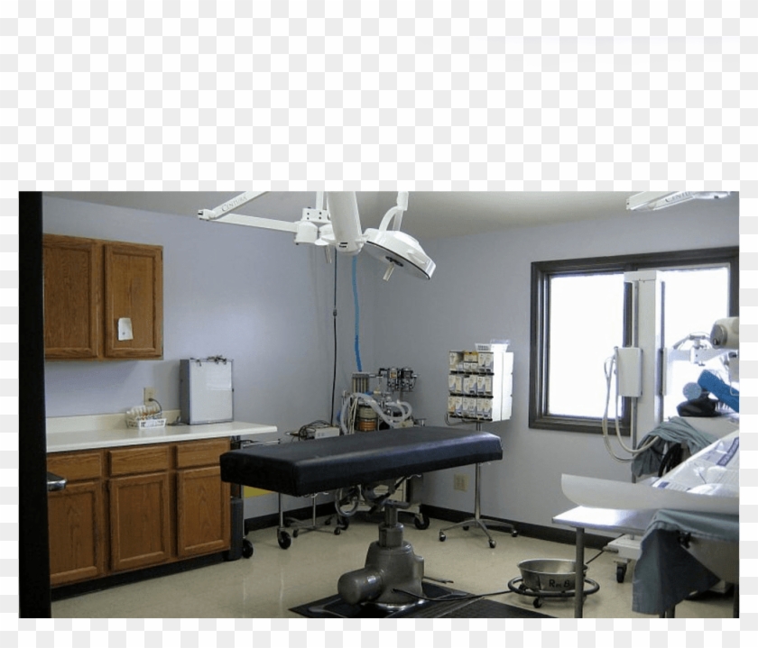 Surgery Room At Fort Wayne Animal Hospital - Interior Design Clipart #4214559