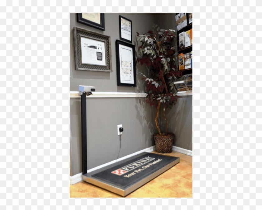 Patient Scale - Floor Clipart