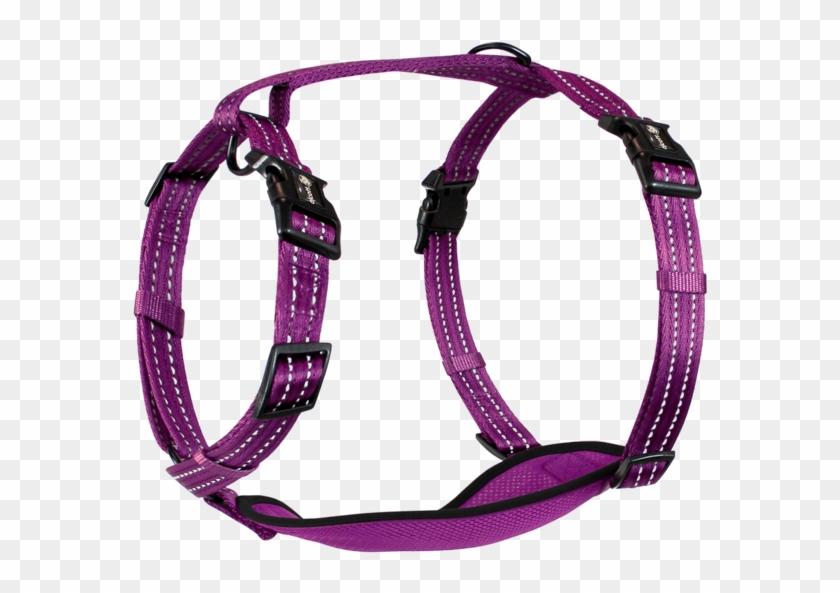 Alcott Clipart #4216304