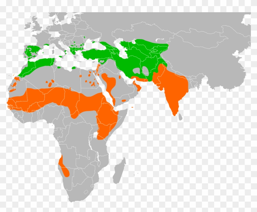Neophron Percnopterus Distribution - India To Oman Map Clipart #4216348