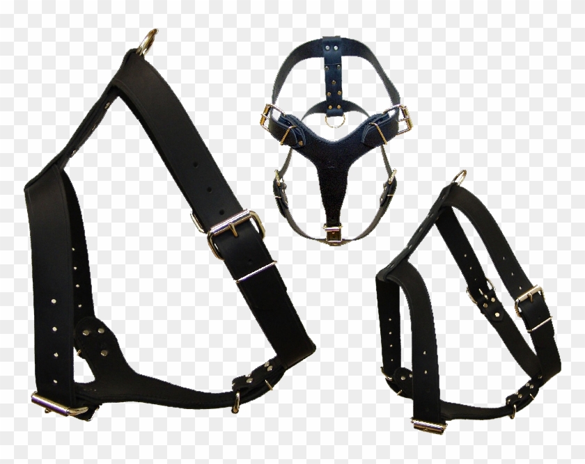 Leather Harness Harness Png Clipart #4217143