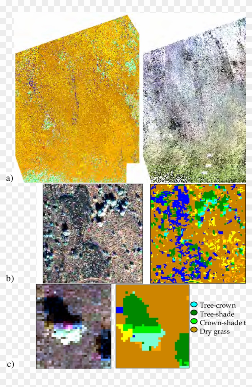 A Dry Forest Ecosystem From The North Kona Region In - Art Clipart