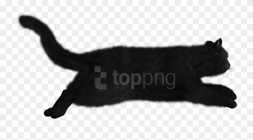 Free Png Download Cat Png Images Background Png Images - Cat Running Png Clipart