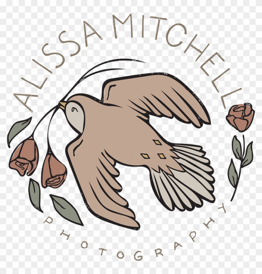 Alissa Mitchell Photography Clipart #4221473
