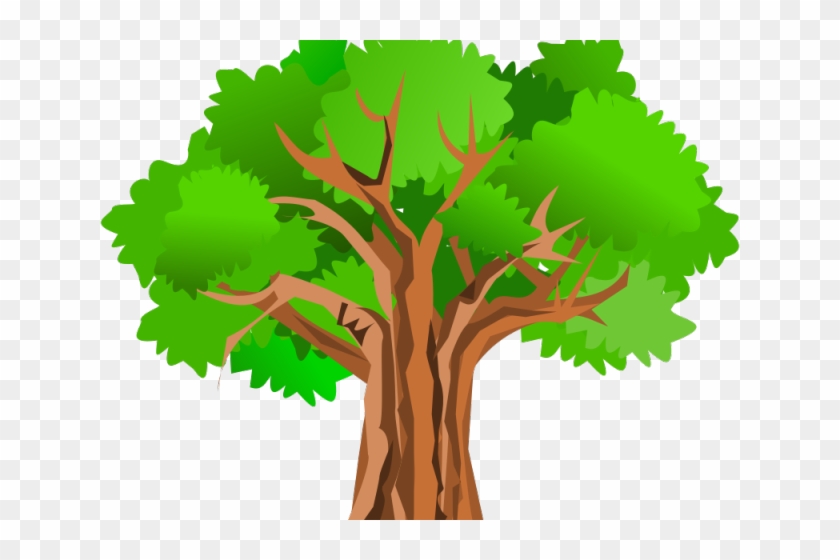 Banyan Tree Clipart Pokok - Tree Clipart Hd - Png Download #4222471