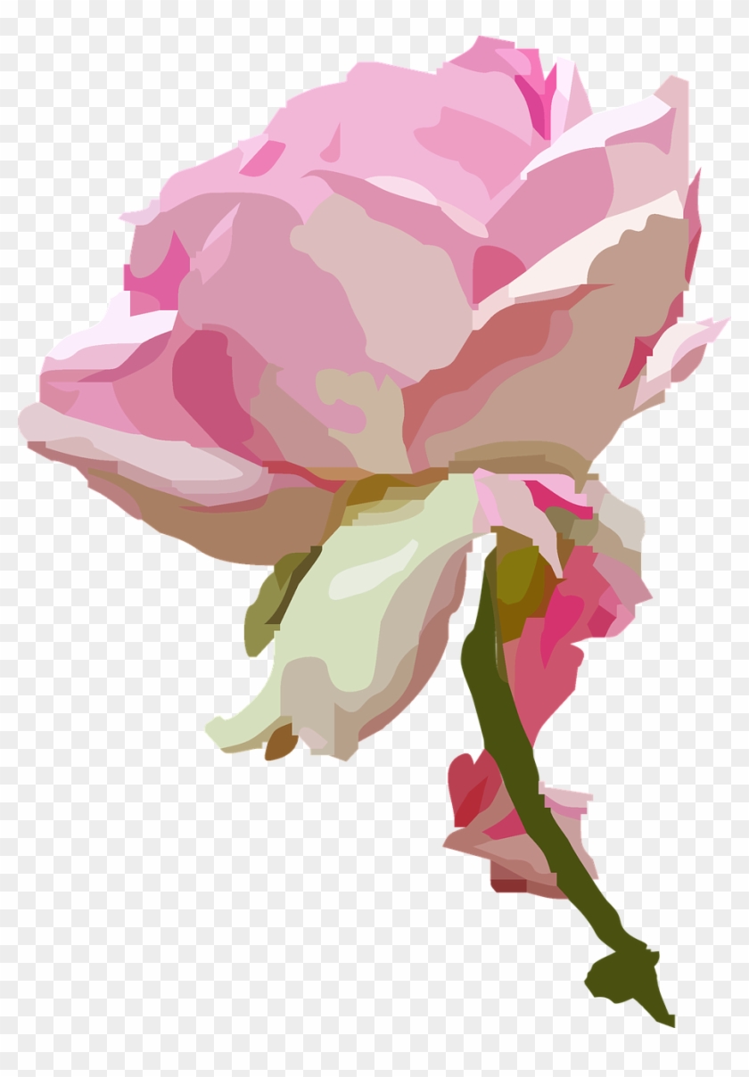 Rose Blossom Bloom Rose Bloom Png Image - Portable Network Graphics Clipart #4222663