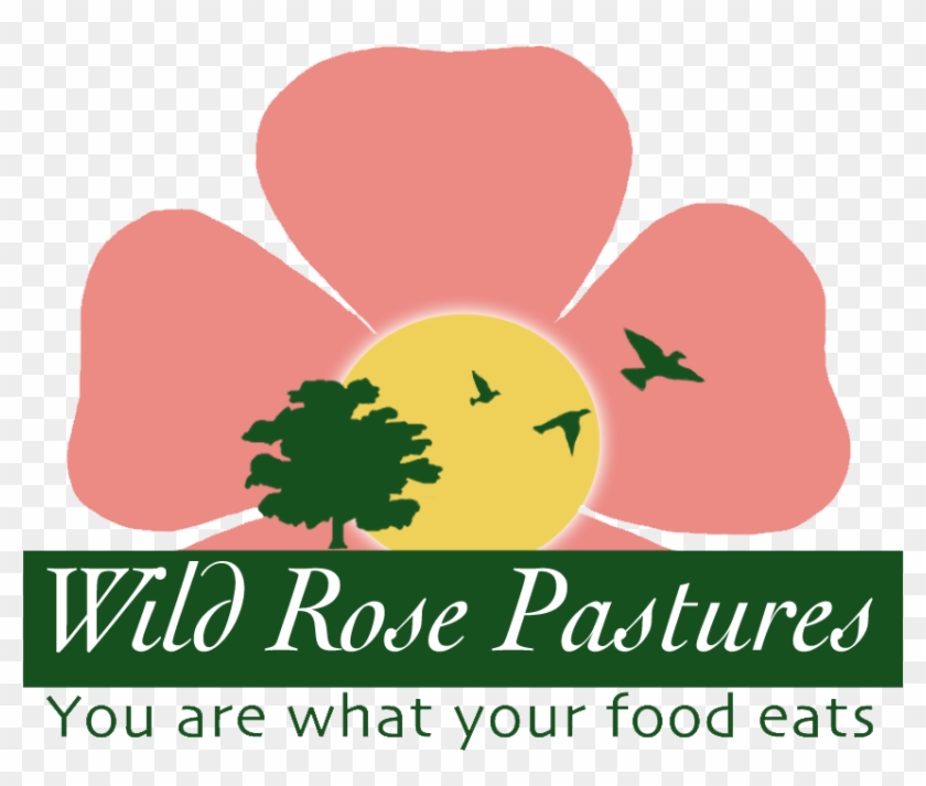 Clip Art - Png Download #4222690