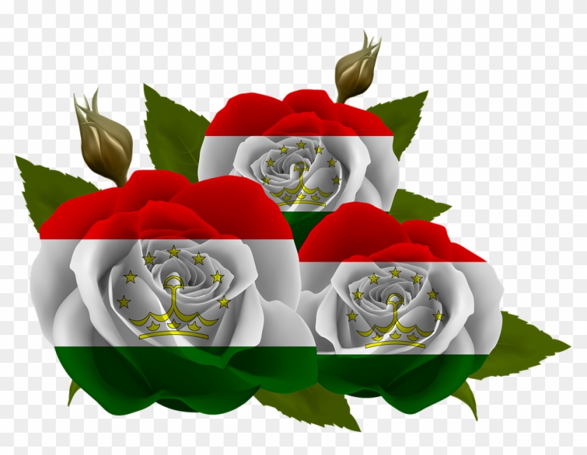 Portable Network Graphics Clipart