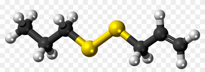 Allyl Propyl Disulfide 3d Ball - 1 2 Dichloropropane Model Clipart