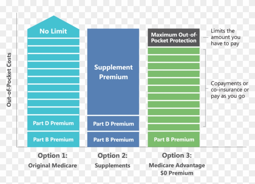 Medicareplus Pay Now Or Later - Colorfulness Clipart