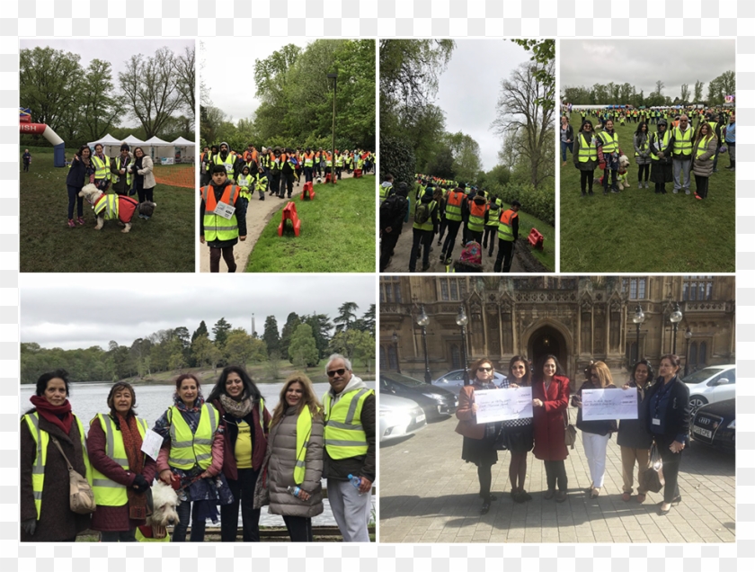 We Are Grateful To Those Who Participated - Park Clipart #4224153