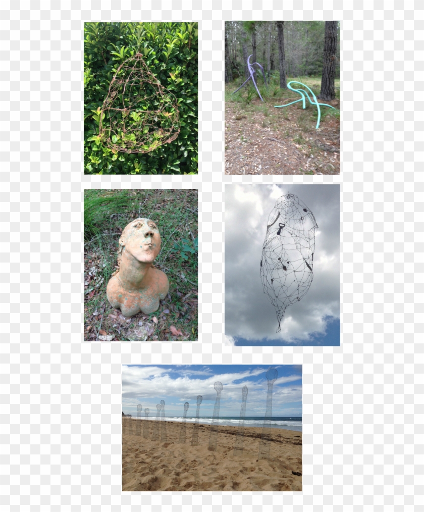 Grass Clipart #4224333