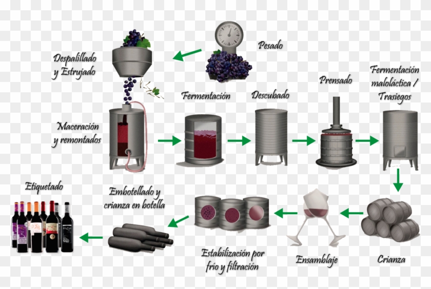 Elaboracion Del Vino Tinto - Proceso De Produccion Del Vino Tinto Clipart #4224611