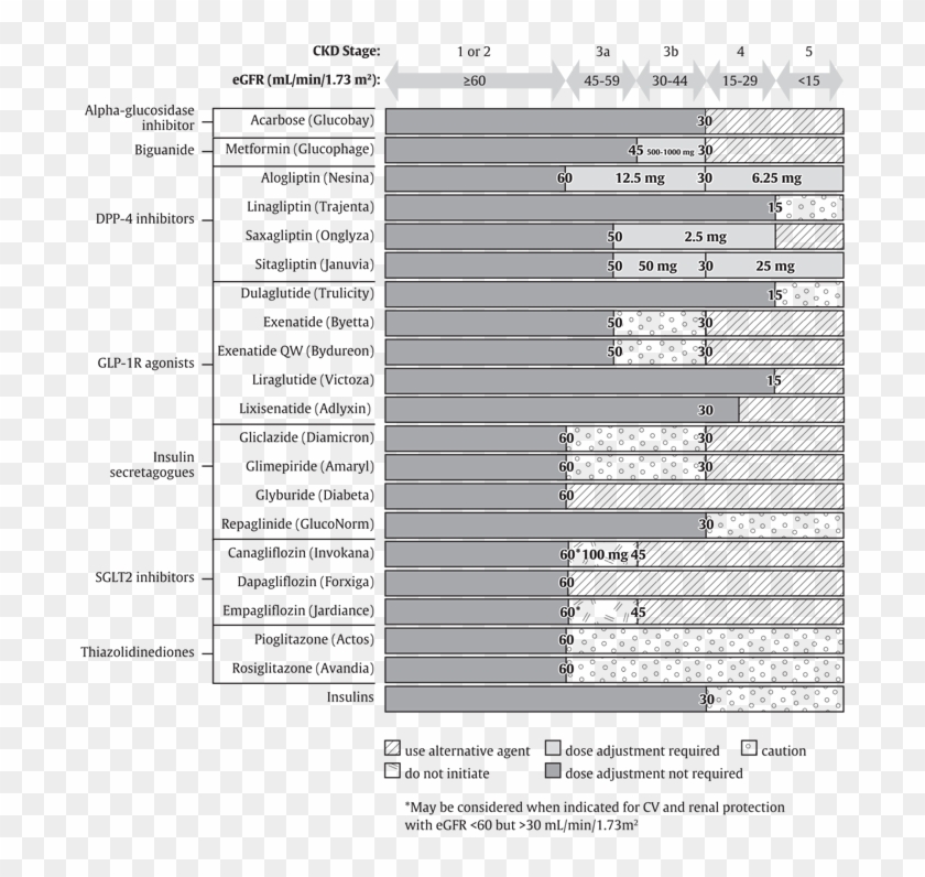 May 13, 2019 Antihyperglycemic Medications And Renal - Diabetes Medication Renal Function Clipart