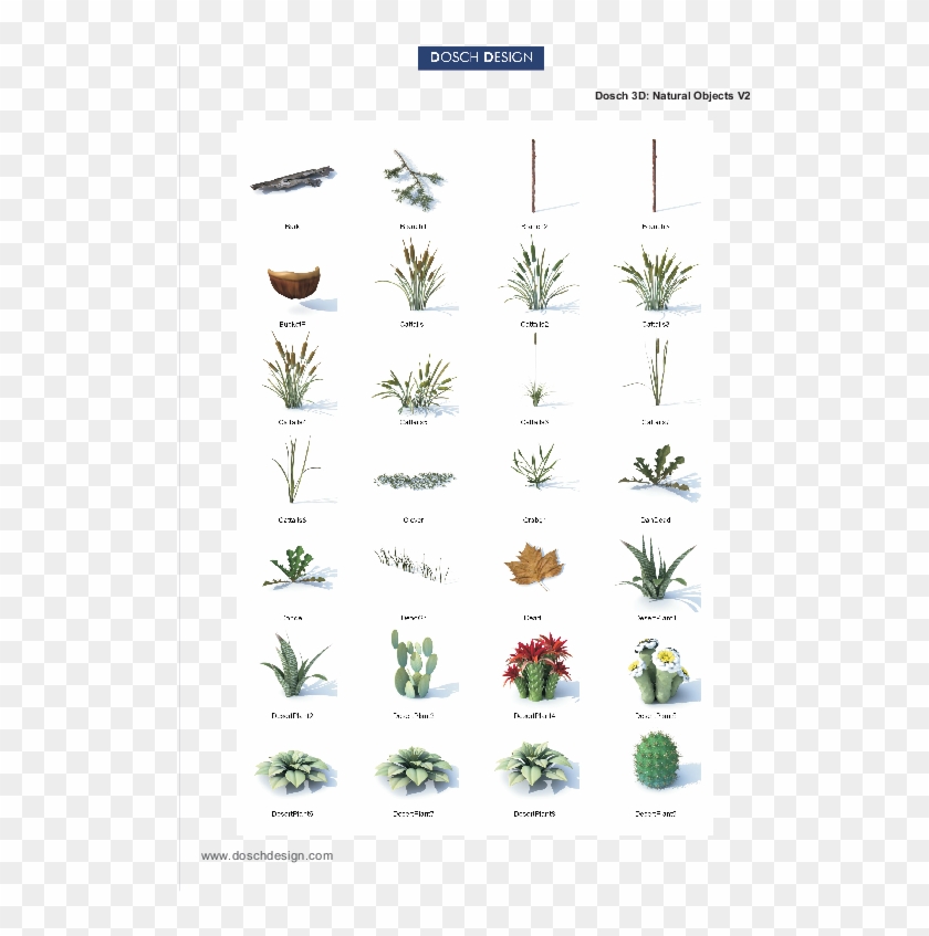 Attractive Quantity Discounts Up To 20% Are Displayed - Hemp Family Clipart #4226128