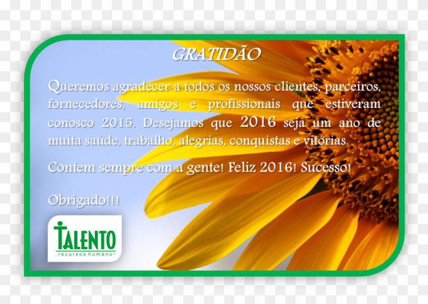 Feliz Ano Novo - Mood Wallpaper Good Morning Clipart