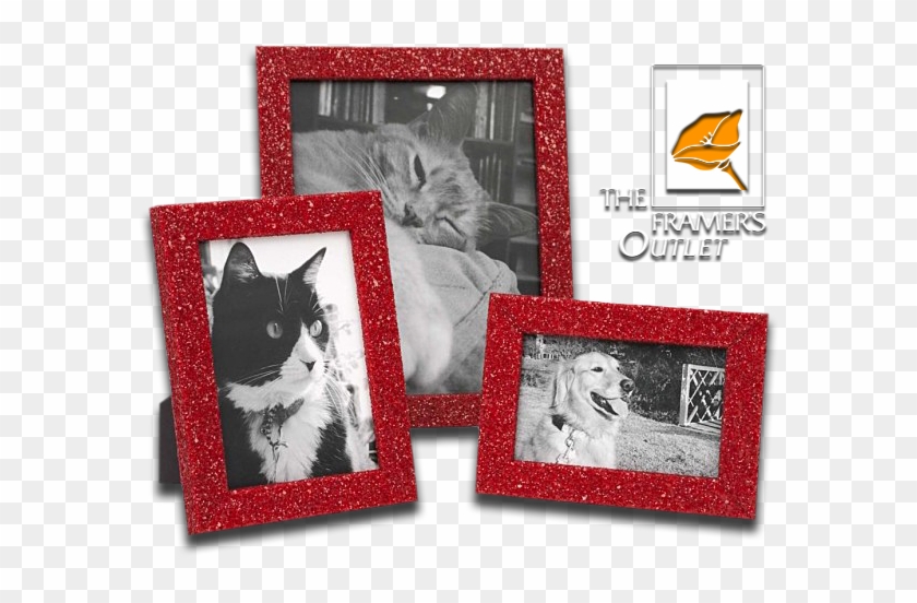 Glitter Photo Frames - Picture Frame Clipart #4226653