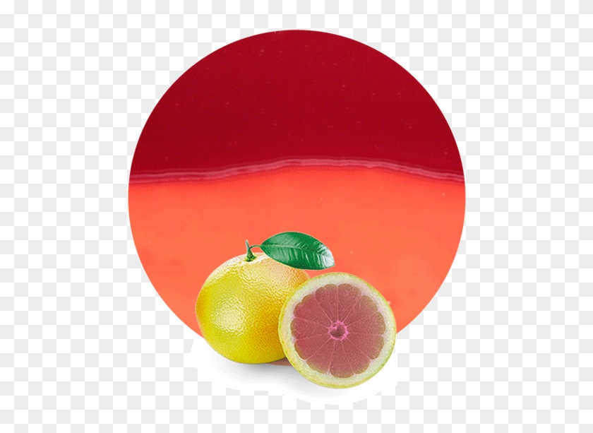 Com/wp Grapefruit Concentrate - Rangpur Clipart