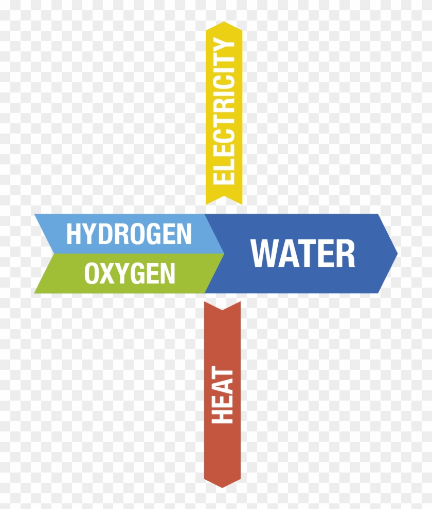 Hydrogen Is Fed To The Anode Where Catalysis Releases - Graphic Design Clipart #4227361