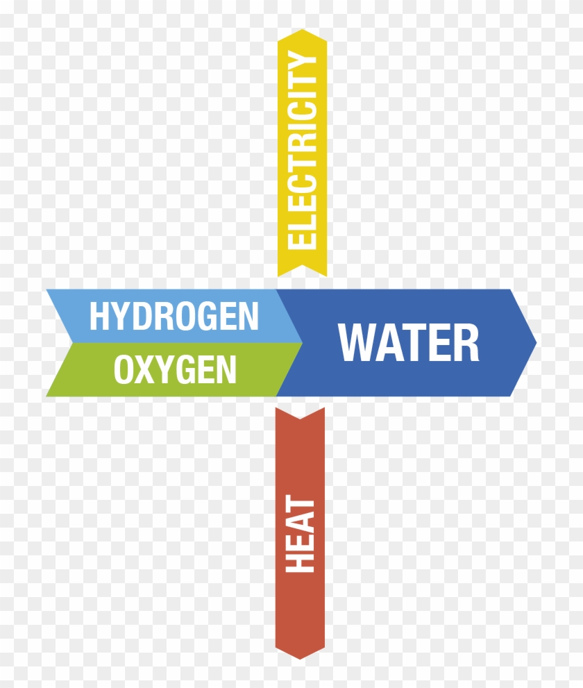 Hydrogen Is Fed To The Anode Where Catalysis Releases - Graphic Design Clipart