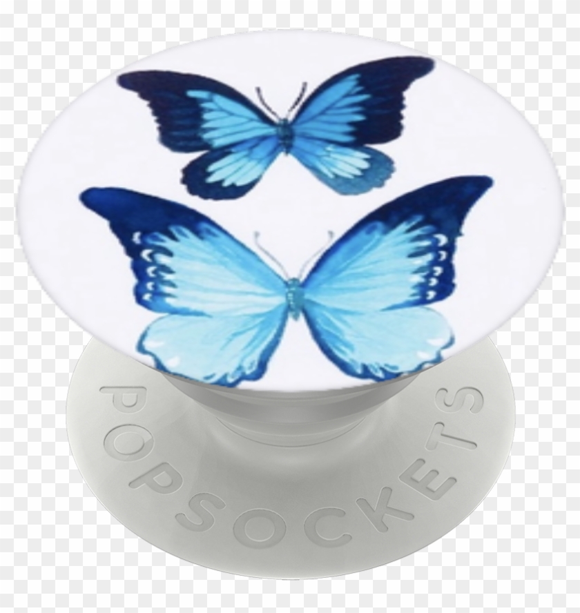 Beautiful Butterflies, Popsockets - Holly Blue Clipart #4227499