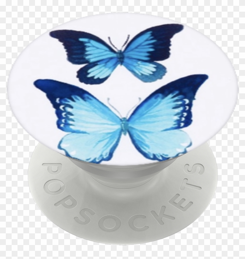 Beautiful Butterflies, Popsockets - Holly Blue Clipart