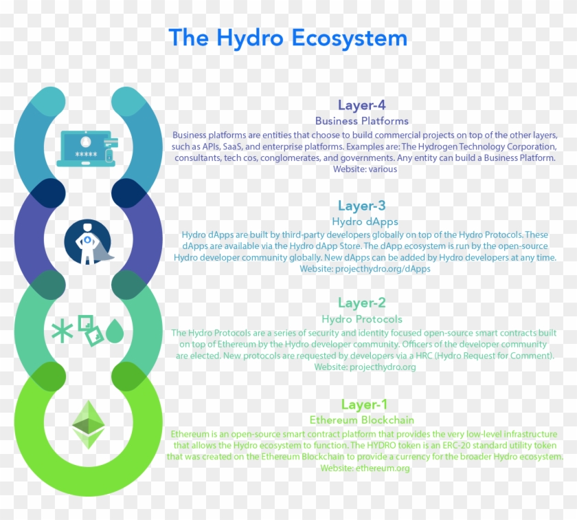 Examining The Layers Of The Hydro Ecosystem - Ecosystem Layers Clipart #4227509