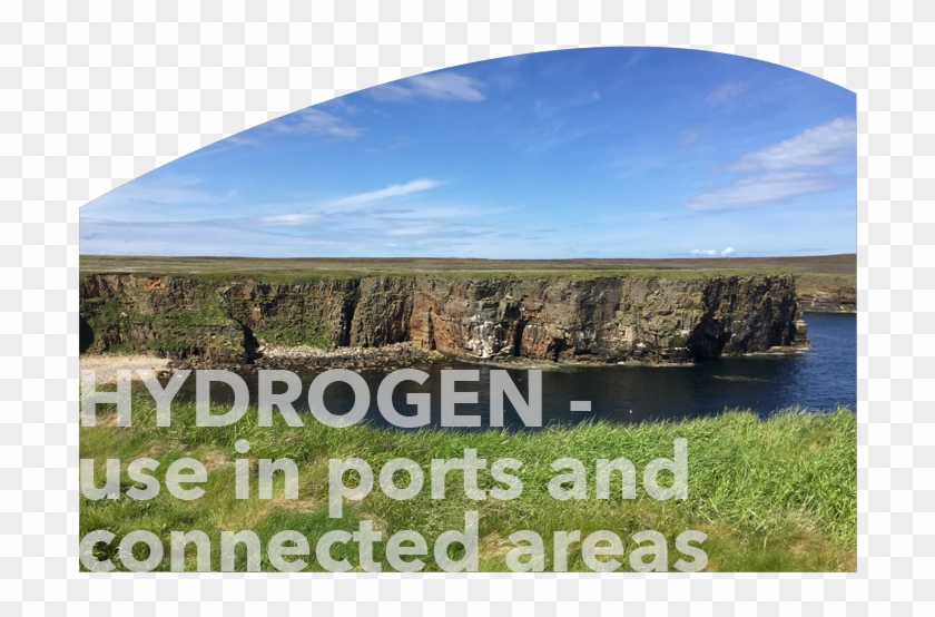 Grass Clipart #4227728