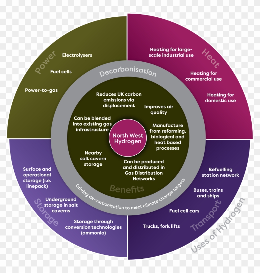 Decades Of Research, Development And Testing Have Shown - Circle Clipart