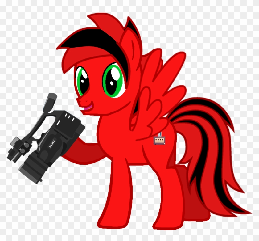 Wiicubefilms Holding A Camera 232 Kb - Cartoon Clipart #4228258