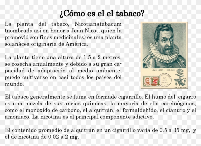 Recomienda El Tabaco Como Cura Para 36 Enfermedades, - Jean Nicot Clipart
