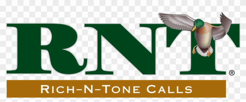 Duck Clipart #4228833