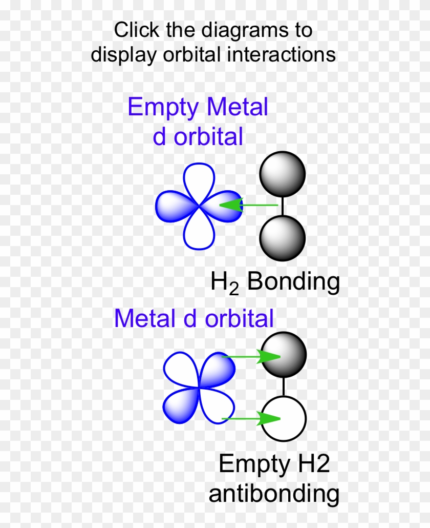 Hydrogen Orbitals - Dihydrogen Ligand Clipart