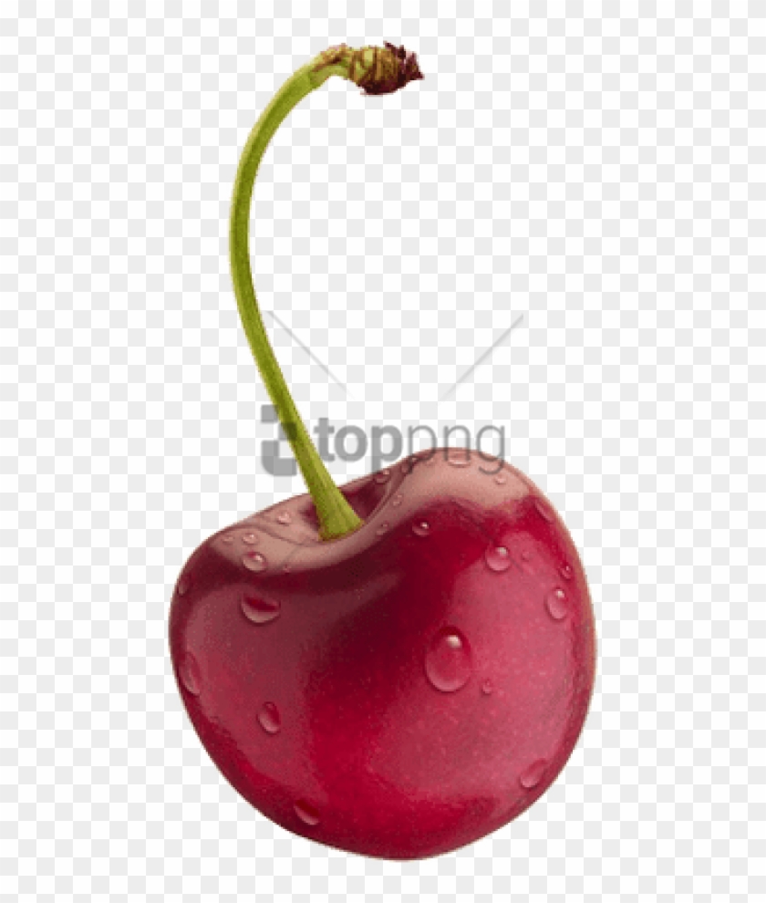 Free Png Como Se Dice Cereza En Inglés Png Image With - Warrant Cherry Pie Cover Clipart