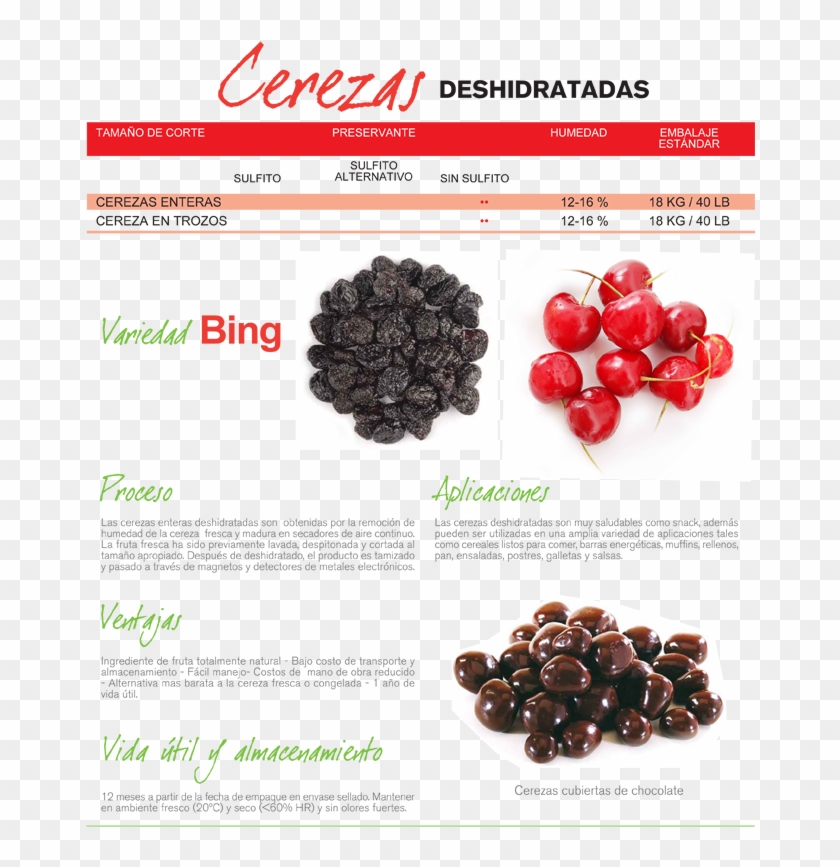 Cerezas - Cereja Clipart