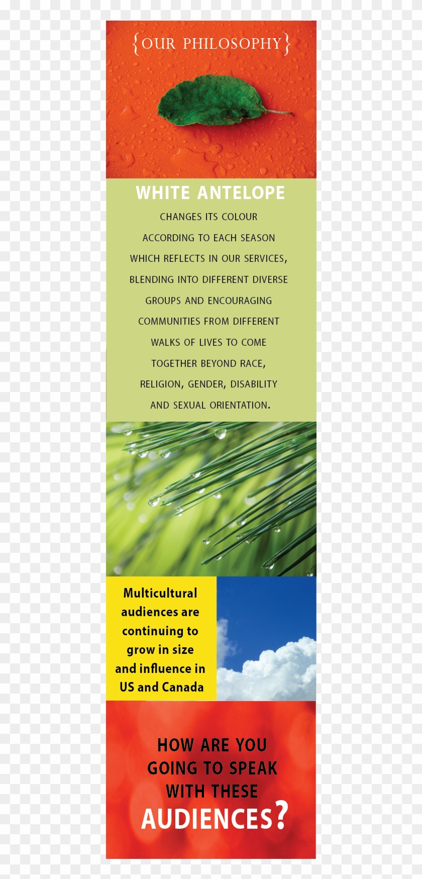 Side Banner For Website - Publication Clipart