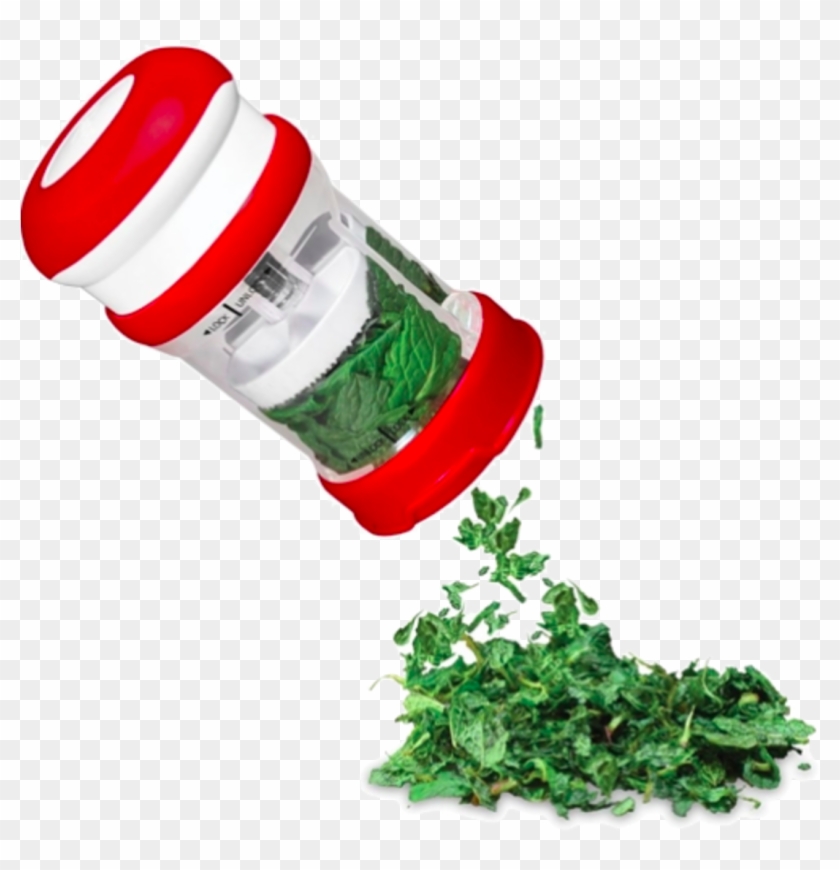 Parsley Clipart