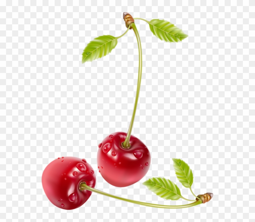Cherrys Realistic Clipart