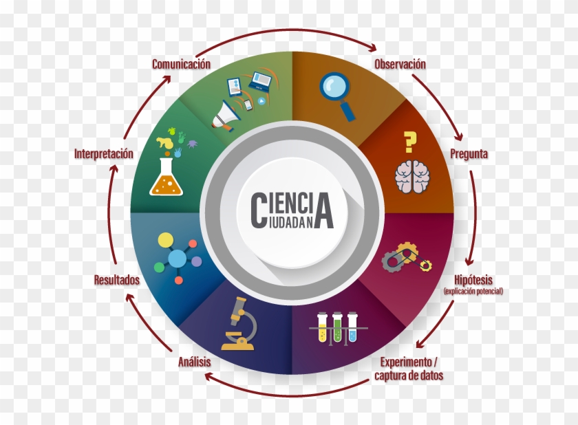 El Círculo Virtuoso De La Ciencia Ciudadana - Circle Clipart
