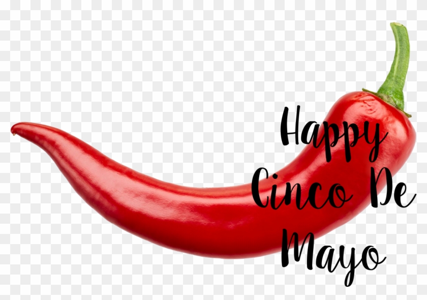Happy Cinco De Mayo - Bible Connection Games English Clipart